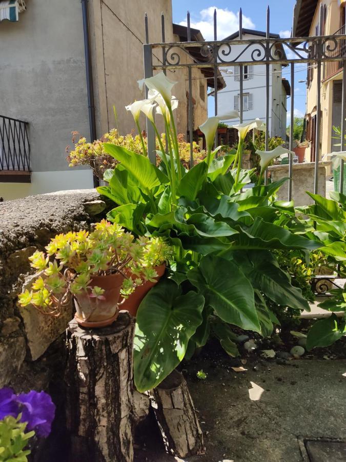 Casa All'Era Cernobbio Exteriér fotografie